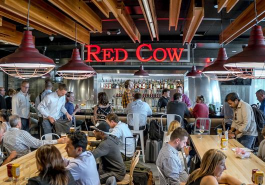 Red Cow